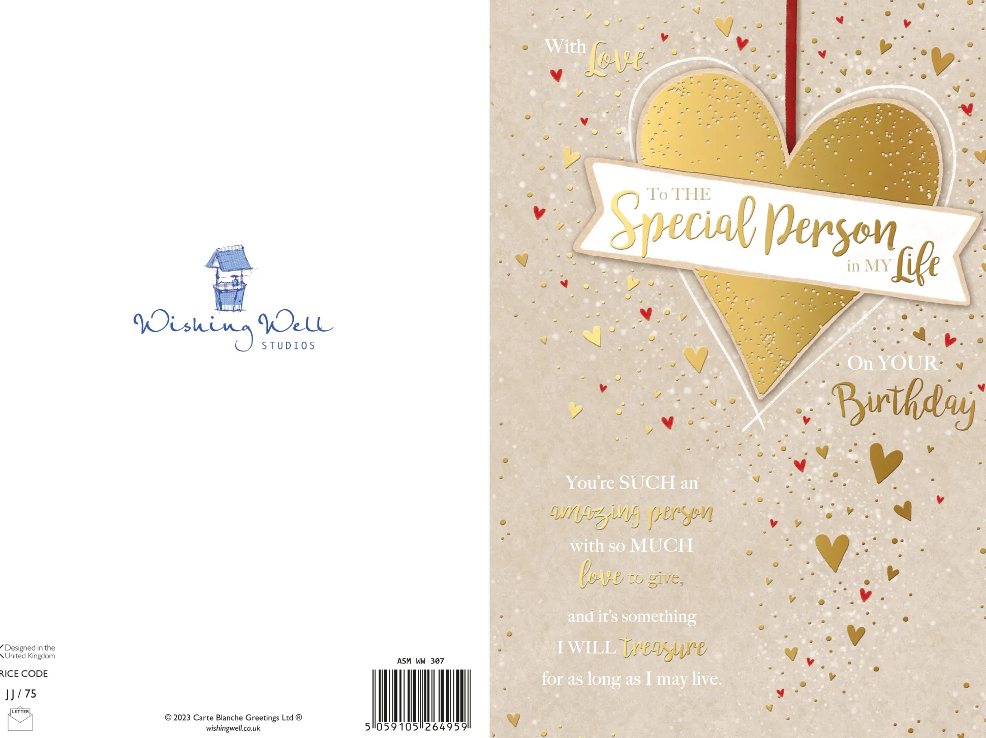 Birthday Card To The Special Person In My Life, By Wishing Well Studios - 6x9ins
