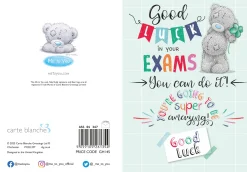 Me To You Tatty Teddy Good Luck In Your Exams Greeting Card 5x7ins - Official Collection
