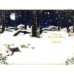 Me to You Tatty Teddy 'Someone Special' 3D Christmas Card