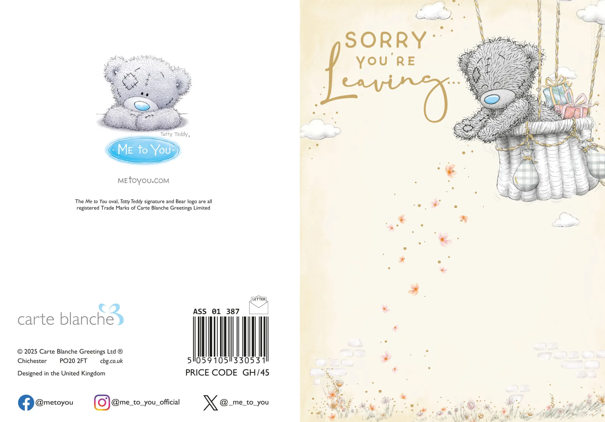 Me to You Tatty Teddy Sorry You're Leaving Greeting Card 5 x 7 Inches (12 x 17 Cms) - Official Collection