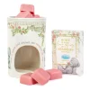 Me to You Tatty Teddy Wax Burner & Wax Melts Gift Set